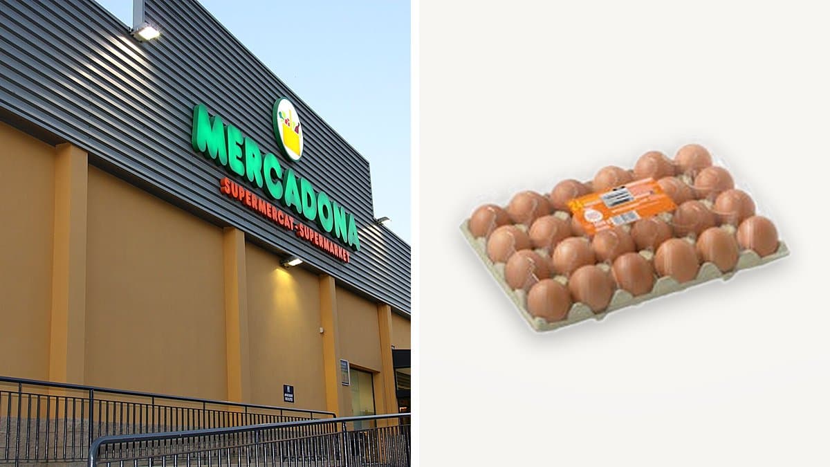 Diferentes paquetes de huevos apilados en el frigorífico de Mercadona, uno abierto mostrando los huevos marrones, luz natural suave